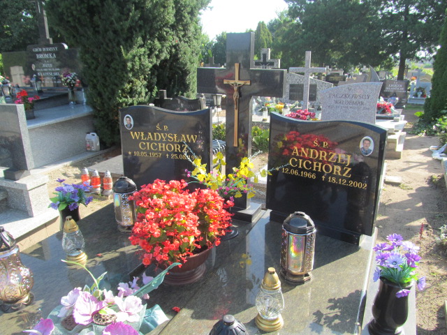 Grób Andrzej Cichorz