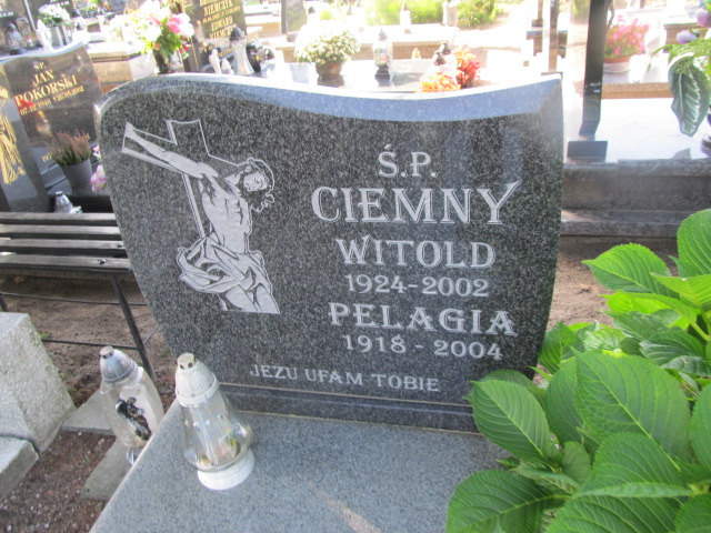 Pelagia Ciemna 1918 Gniewkowo - Grobonet - Wyszukiwarka osób pochowanych